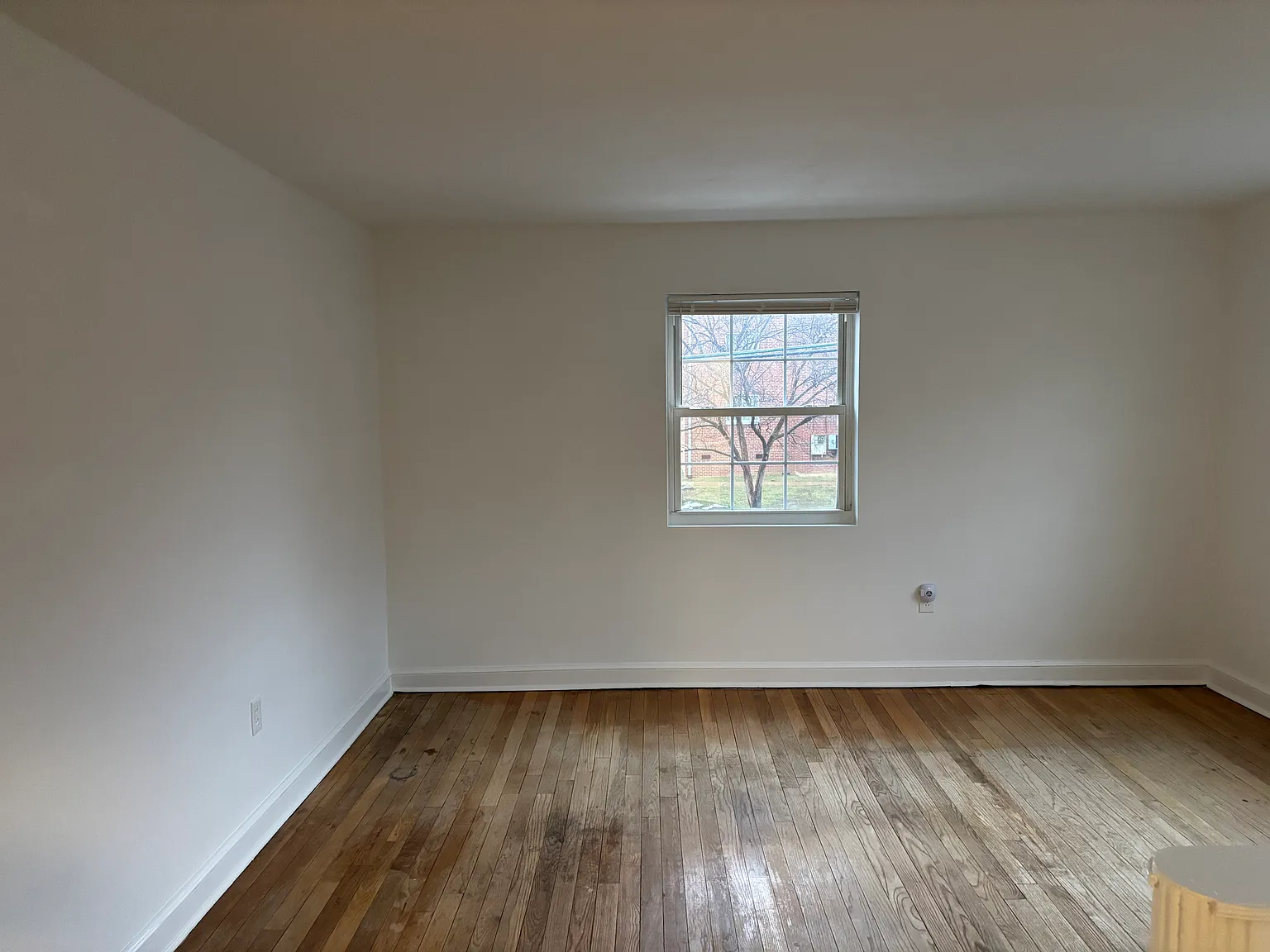 1 bed, 610 sqft, $1,800 — Photo 2
