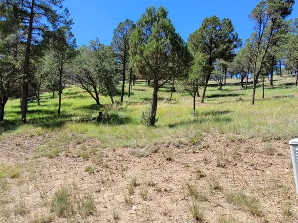323 Ll Davis Dr, Ruidoso, NM 88345