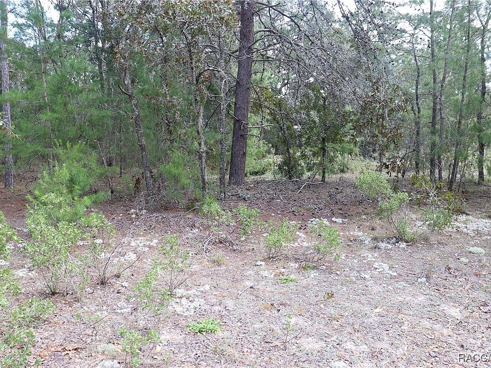1st image of 9657 N Timber Creek Ter