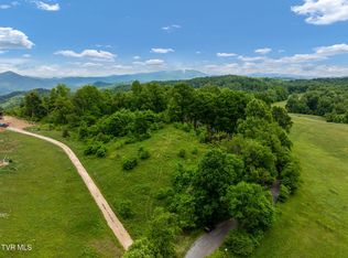 Walnut Mountain Rd, Roan Mountain, TN 37687