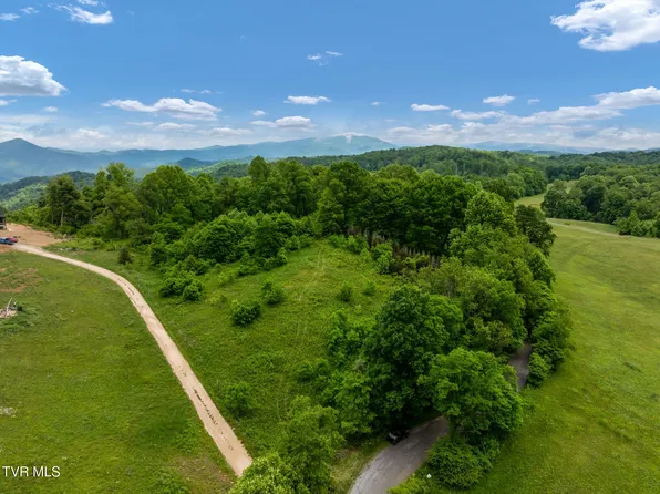 Walnut Mountain Rd, Roan Mountain, TN 37687