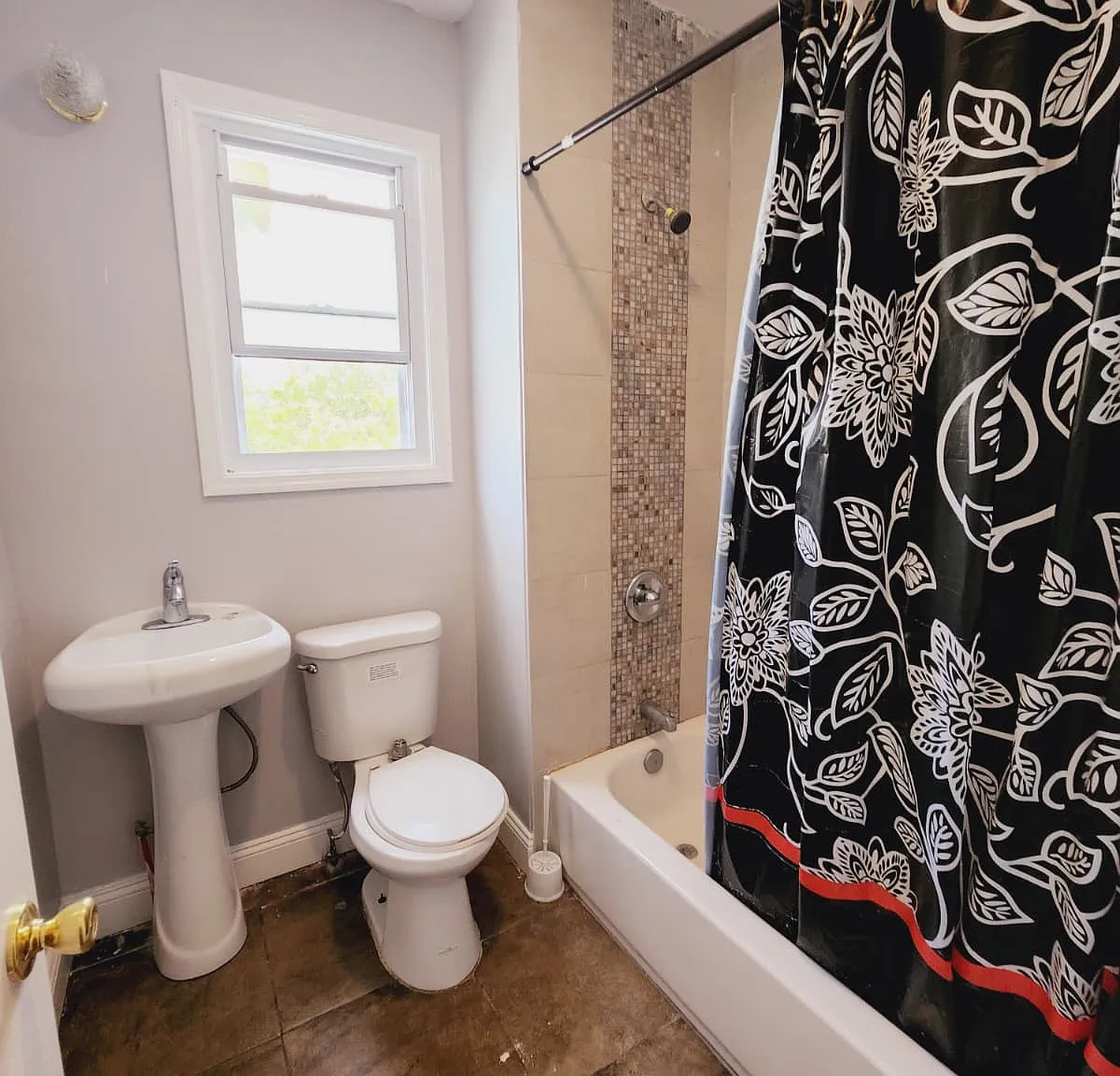 2 bed, 800 sqft, $2,300 — Photo 2
