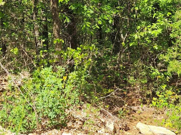 Strawberry Valley Rd, Ash Flat, AR 72513