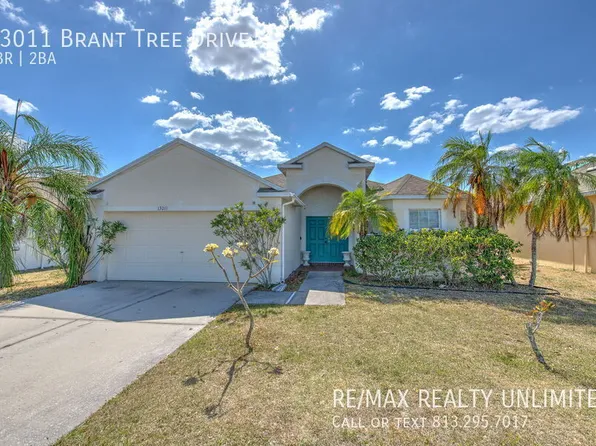 13011 Brant Tree Dr, Riverview, FL 33579