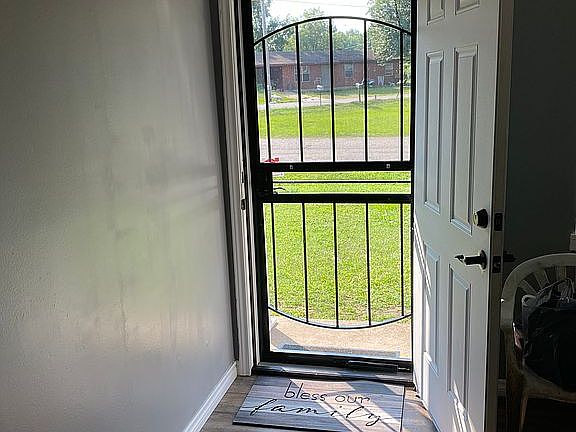 Iron Glass Storm Door