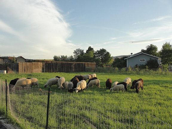 Front pasture in the spring