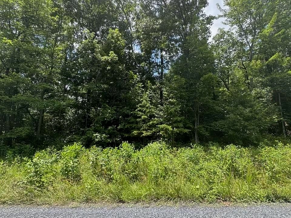 2nd image of Hunter Rd