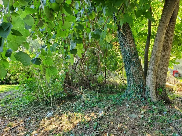 Yale Ave, Madison, OH 44057