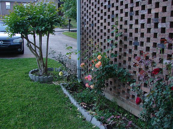 Side of carport