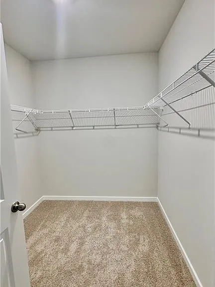 17710 Shade Tree Loop — Photo 14