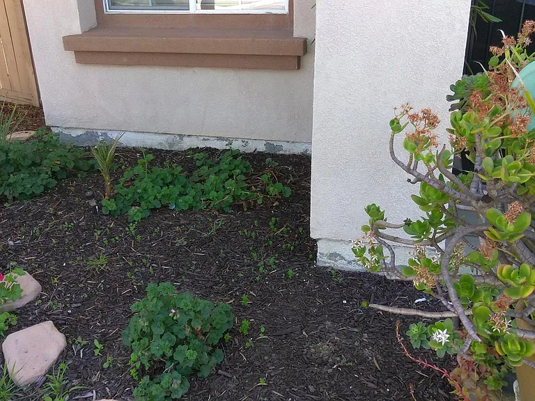 4753 Ventana Way — Photo 6