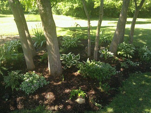 Spring Perennial Garden