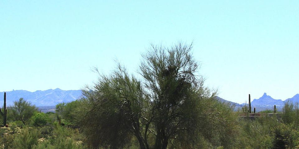 5201009