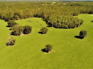 Deen Still Rd W, Lakeland, FL 33809