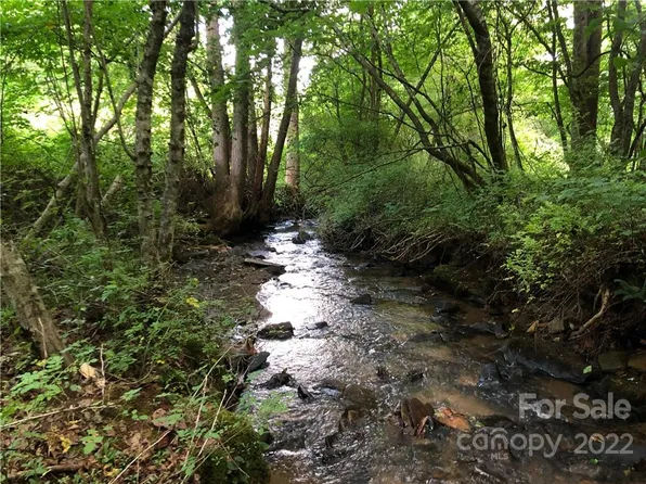 Paint Fork Rd, Barnardsville, NC 28709