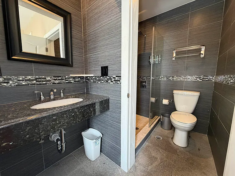 365 W 46th St #301 — Photo 14