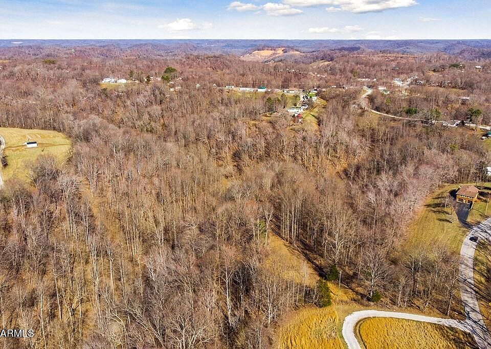 1746AC Pea Ridge Rd, Chestnut Mound, TN 38552 Zillow