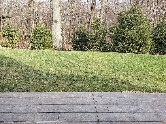 View to backyard from Patio