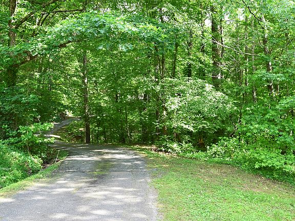 Driveway in Spring