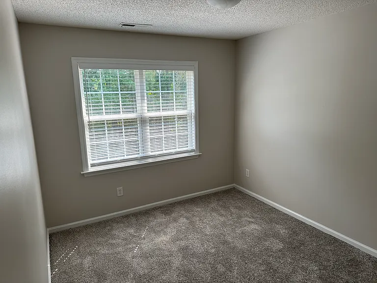 421 Holly Ln — Photo 28