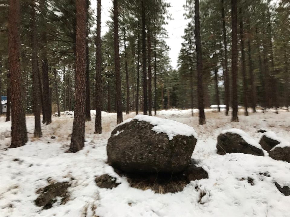 1st image of 9216 Camp Day Pl