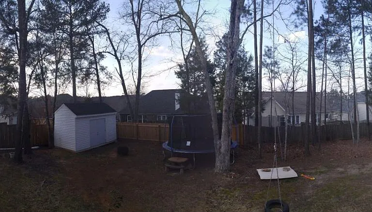 Backyard