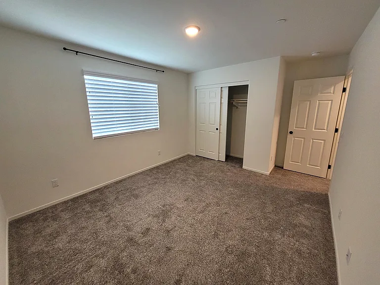 29178 Sunforest — Photo 20