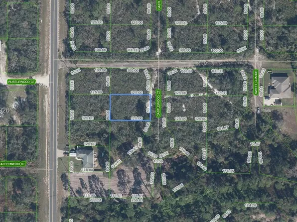 10013 Castlewood Ct, Sebring, FL 33875