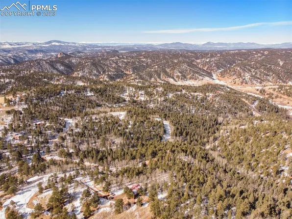 99 Witherite Dr, Divide, CO 80814
