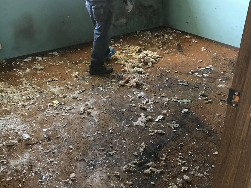 2nd image of 1653 Bailey Hill Rd