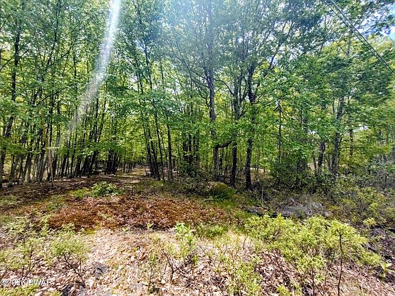 5th image of LOT 3406 Stockton Dr