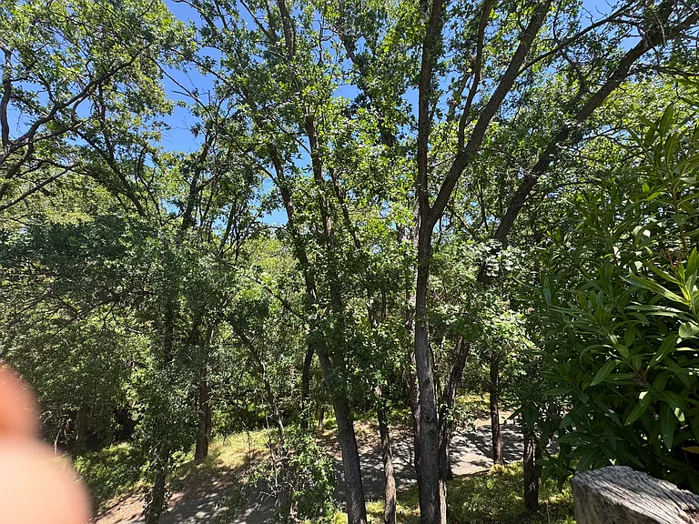 2069 Camel Ln #5 — Photo 12