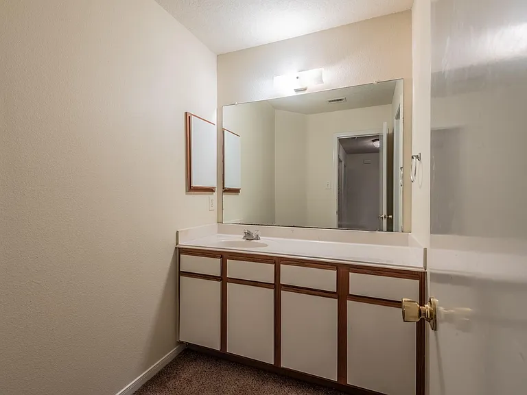 5007 Oak Stand Ct — Photo 19