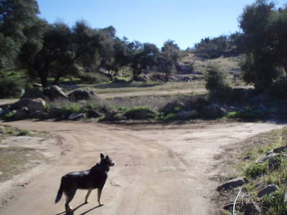 Nicely graded road.