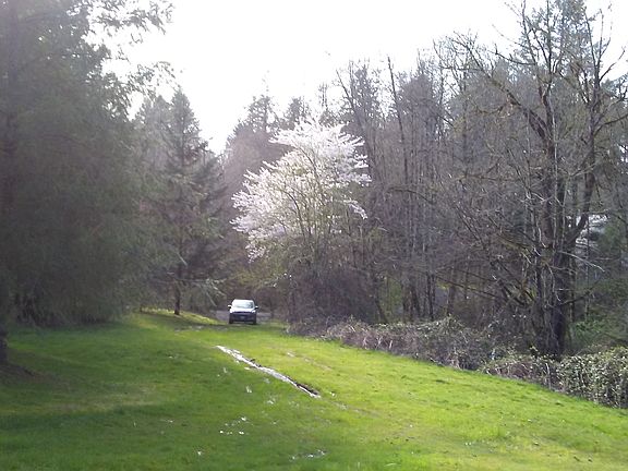 4th image of 00 NW 31st Ave