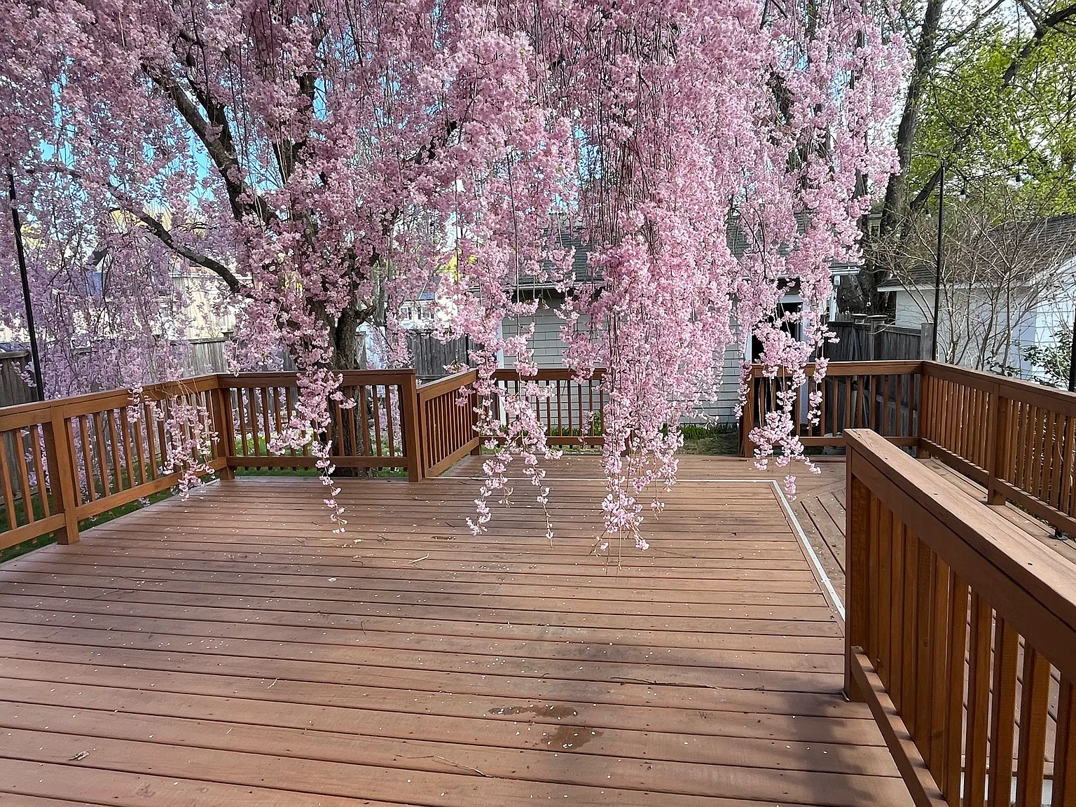 3 bed, 1507 sqft, $4,000 — Photo 2