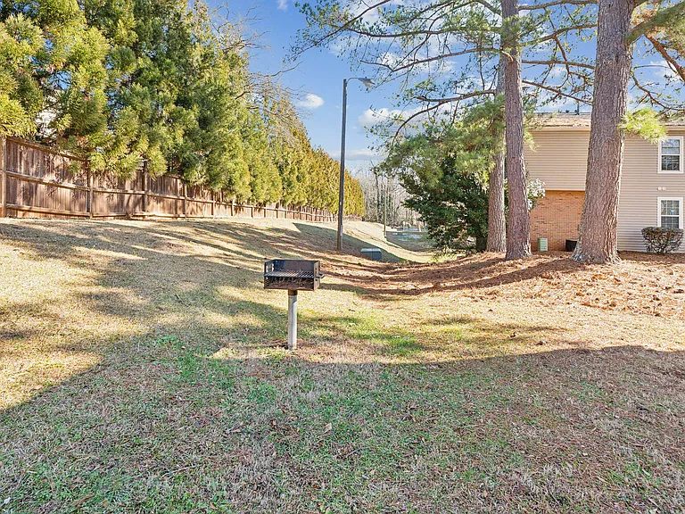 Southern Pines — Photo 11