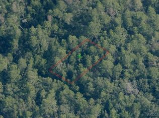 2500 Hugo St, Inverness, FL 34452