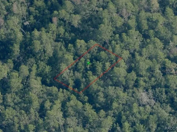 2500 Hugo St, Inverness, FL 34452