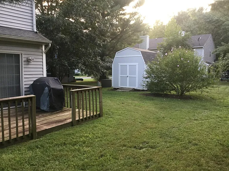 Back yard and shed