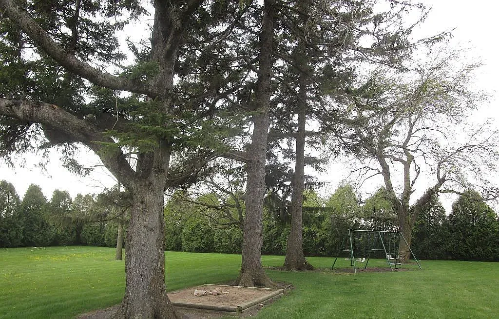 4 bed, 2708 sqft, $2,800 — Photo 3
