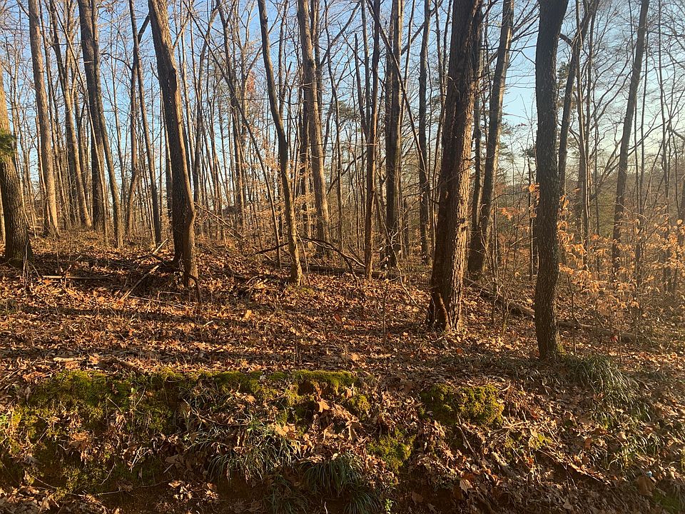 1st image of Forest Heights Cir