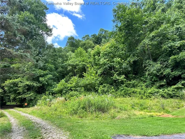 0 Shaw Branch Rd, Foster, WV 25081