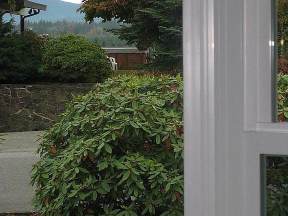 View from Living room window