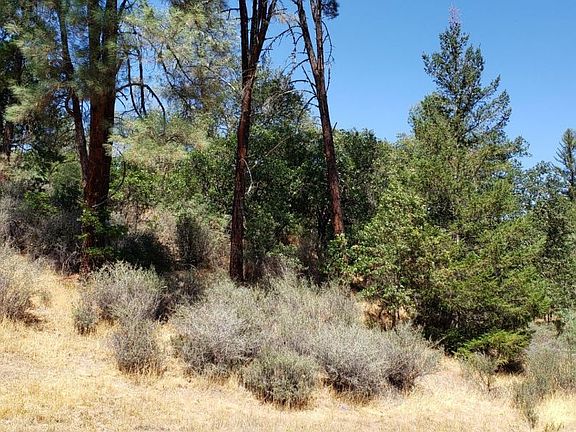 5th image of 7541 Rush Creek Rd