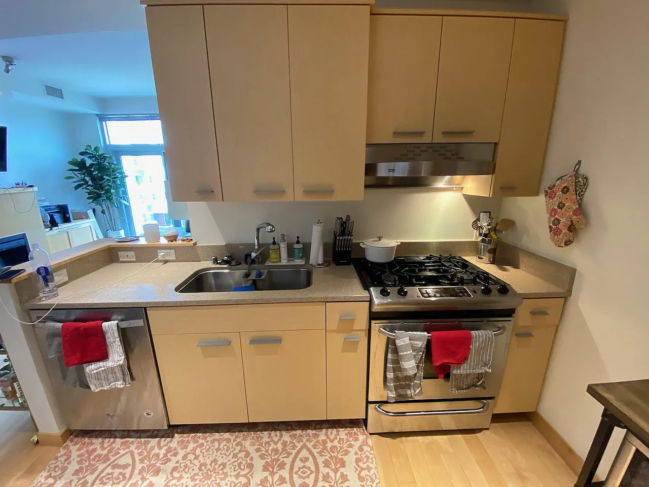 1 bed, 1.0 bath, 615 sqft, $1,700 — Photo 4