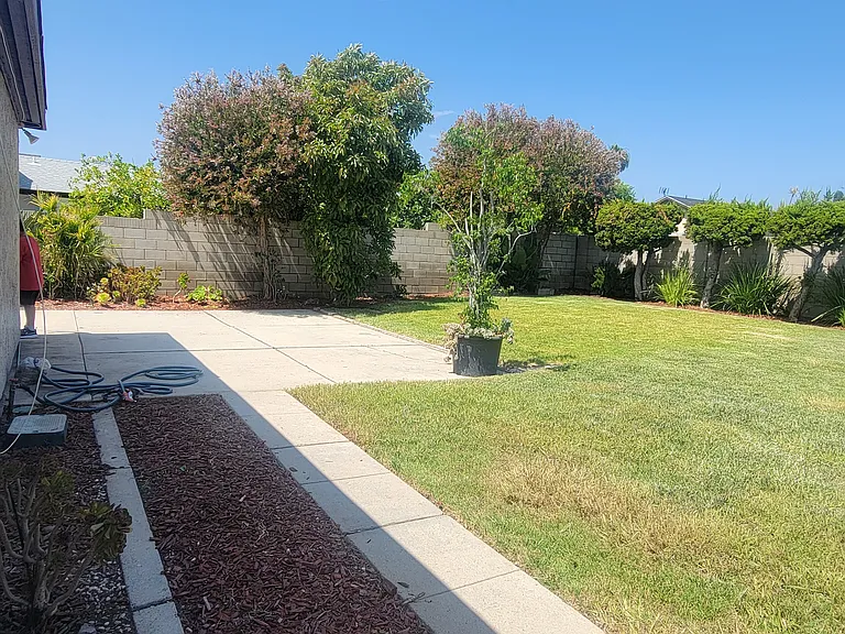 Backyard Pic 1