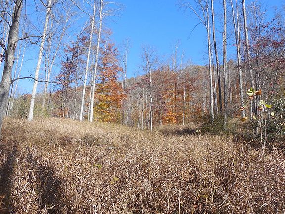 75th image of this home