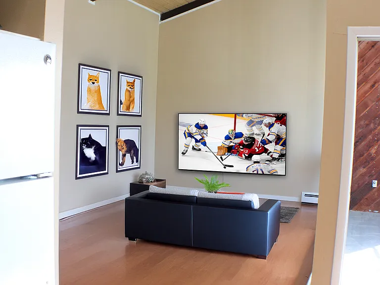 Swan Landing Apartments — Photo 9