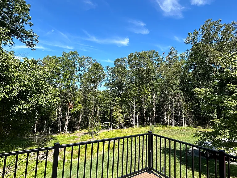 207 Fairview Rd — Photo 50